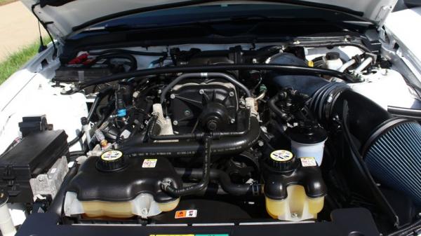 2009 Ford Shelby Mustang GT500 