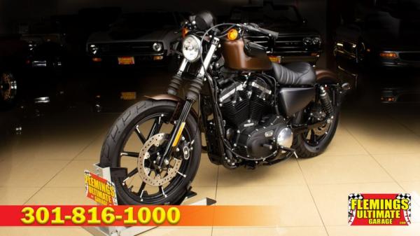 2019 Harley Davidson Sportster 883 Iron 