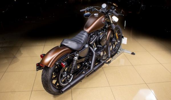 2019 Harley Davidson Sportster 883 Iron 