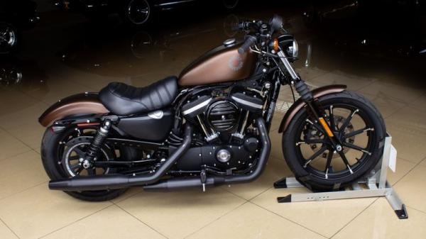 2019 Harley Davidson Sportster 883 Iron 