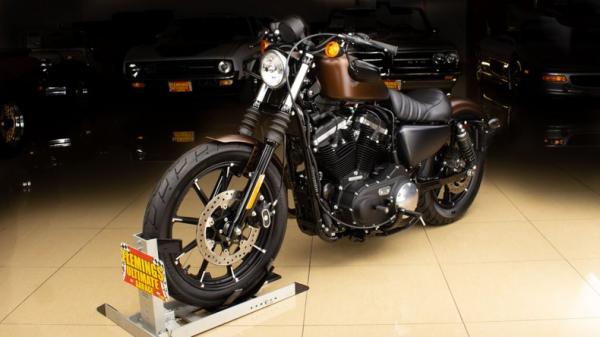 2019 Harley Davidson Sportster 883 Iron 