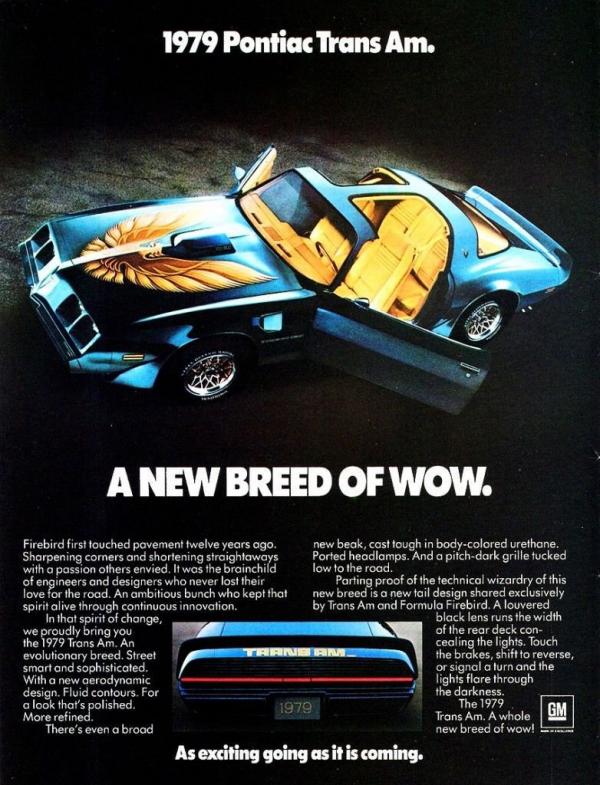 1979 Pontiac Trans Am 10th anniversary 