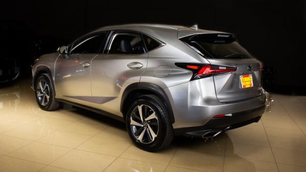 2020 Lexus NX300 