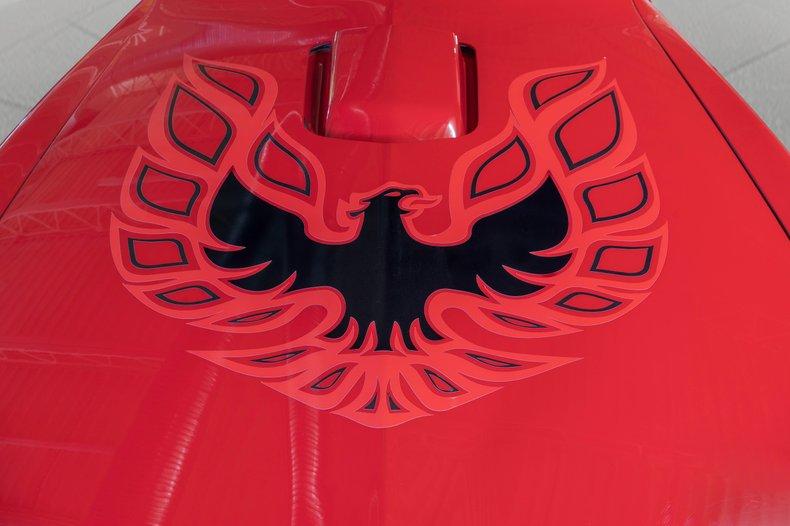 Used 1979 Pontiac Trans Am WS6 Pro touring | St. Petersburg, FL
