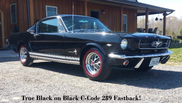 1965 Ford Mustang Show Piece! Fastback