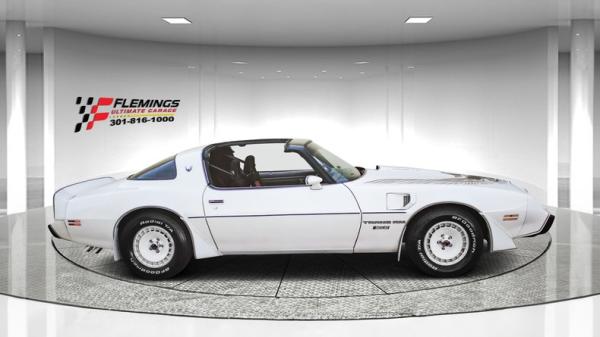 1981 Pontiac Trans Am Daytona Pace Car 