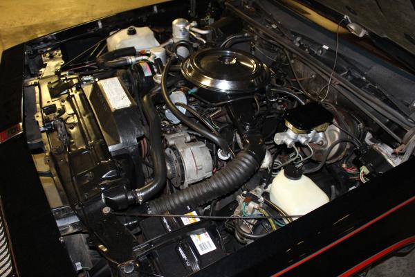 1983 Oldsmobile 442 15th Ann Hurst