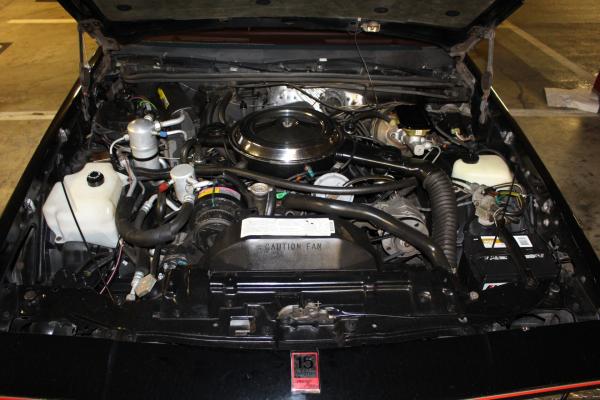 1983 Oldsmobile 442 15th Ann Hurst