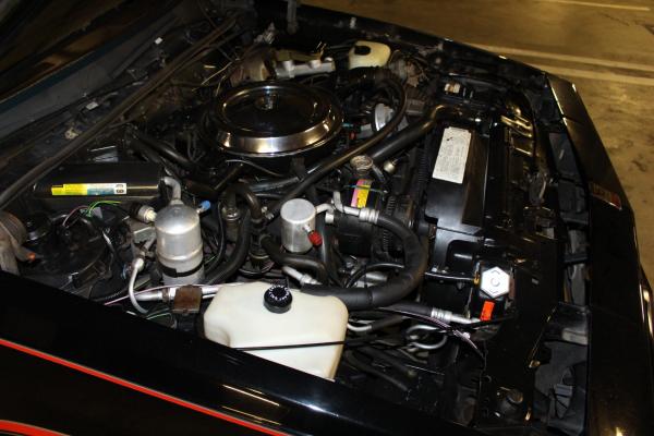 1983 Oldsmobile 442 15th Ann Hurst