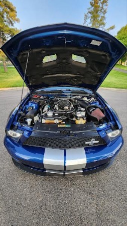 2007 Ford Shelby GT500 Convertible 40th Anniversary Package