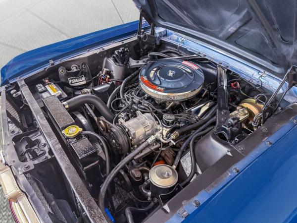 1965 Ford Mustang Real 64 1/2 