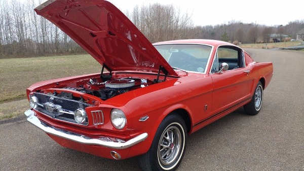 1965 Ford Fastback GT - Equipment