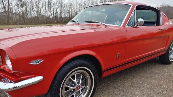 1965 Ford Fastback GT - Equipment