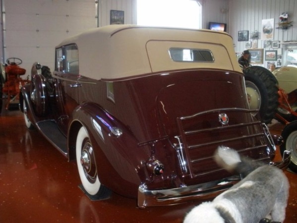 1935 Packard - SOLD! 1202 Convertible - SOLD!! Concourse Collector