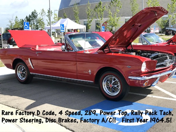 1964 Ford Mustang Convertible - SOLD!! True Collector